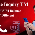 Balance Inquiry TM